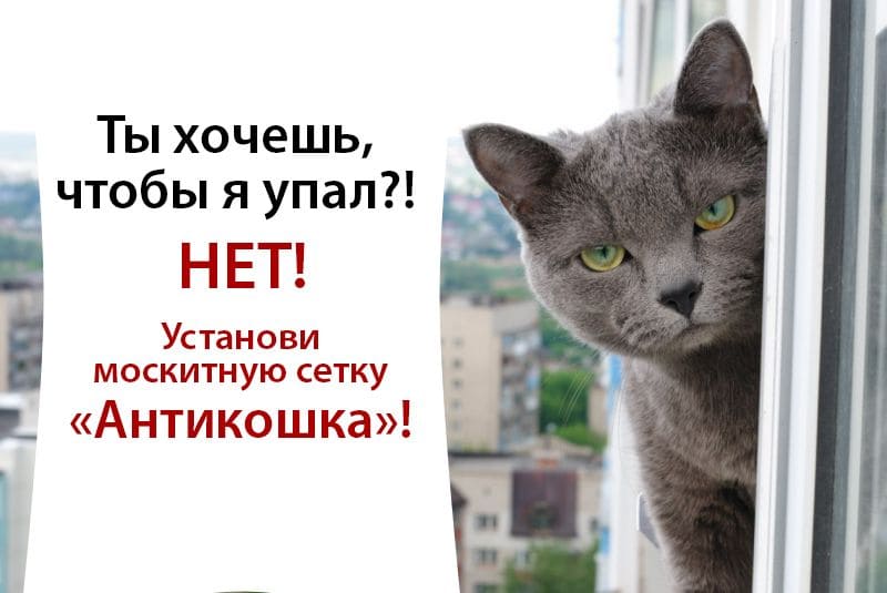 images 1